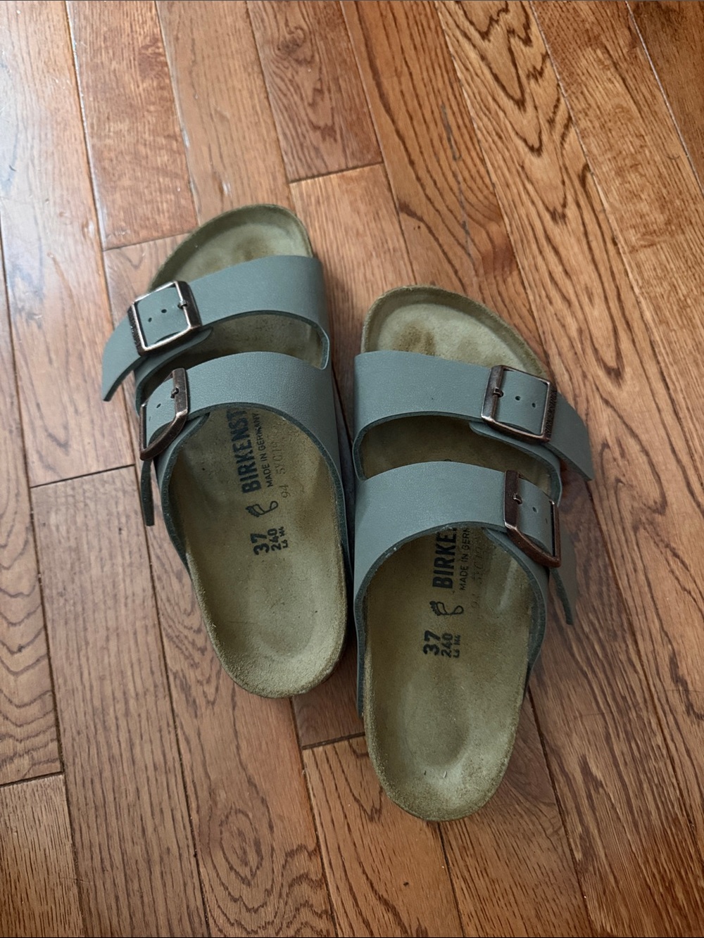 Birkenstock Two-Strap Slides in Dusty Green with Brown Buckles
